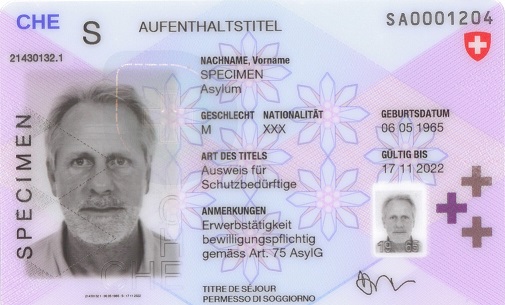 Permit S (people in need of protection)