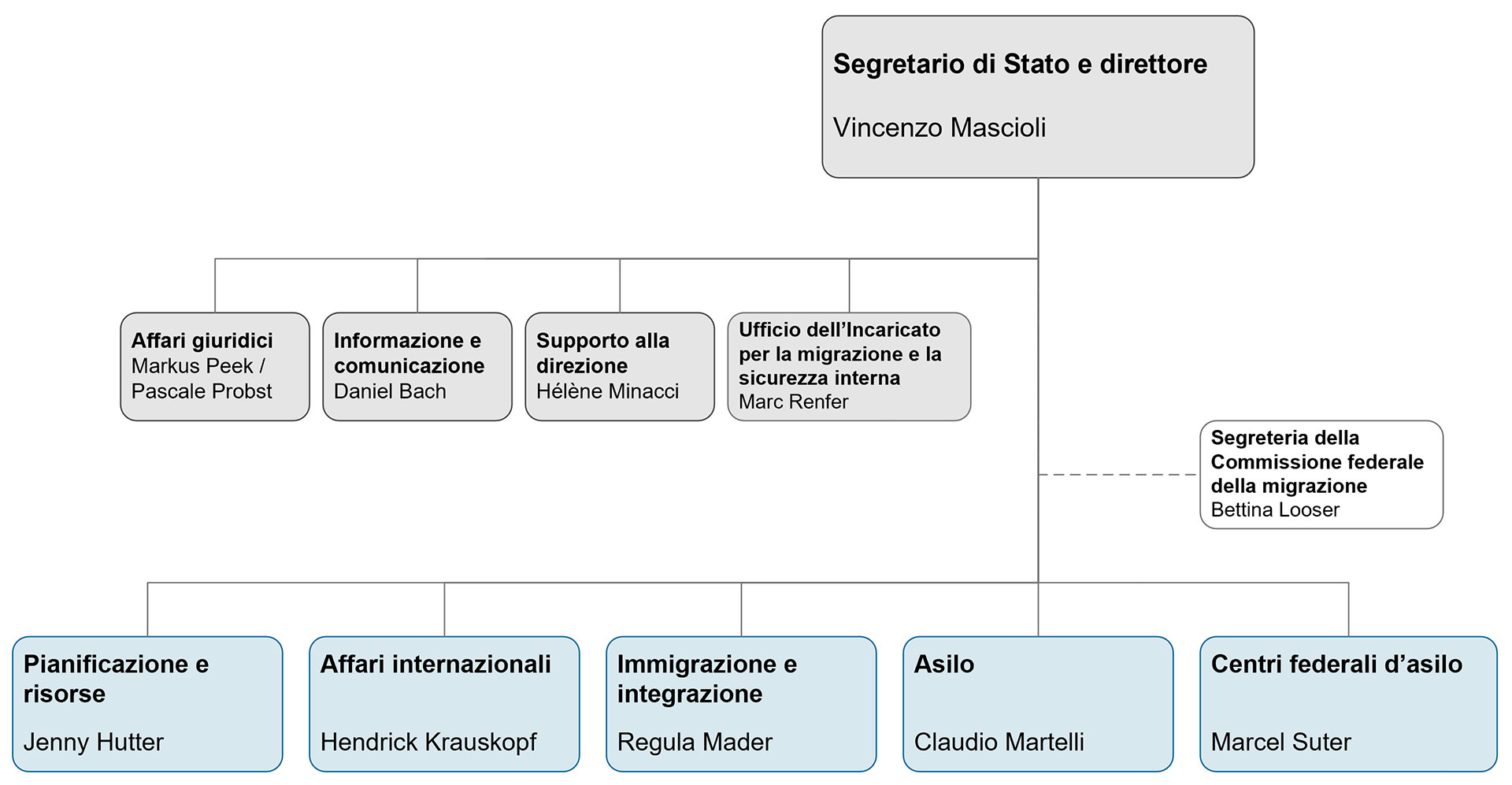 Organigramma SEM